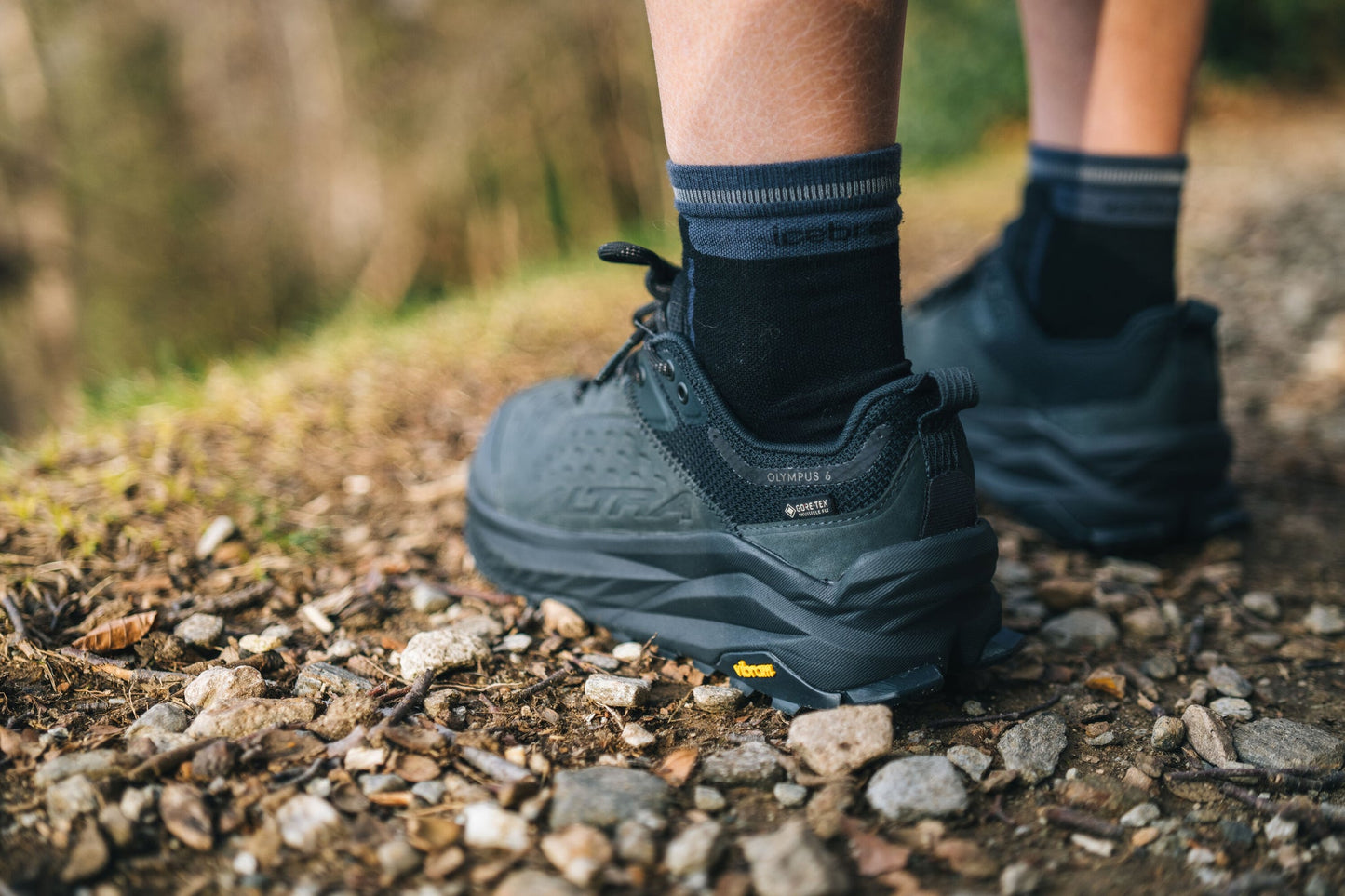 ALTRA OLYMPUS 6 HIKE LOW GTX(オリンパス 6 ハイク ロー ゴアテックス)メンズ