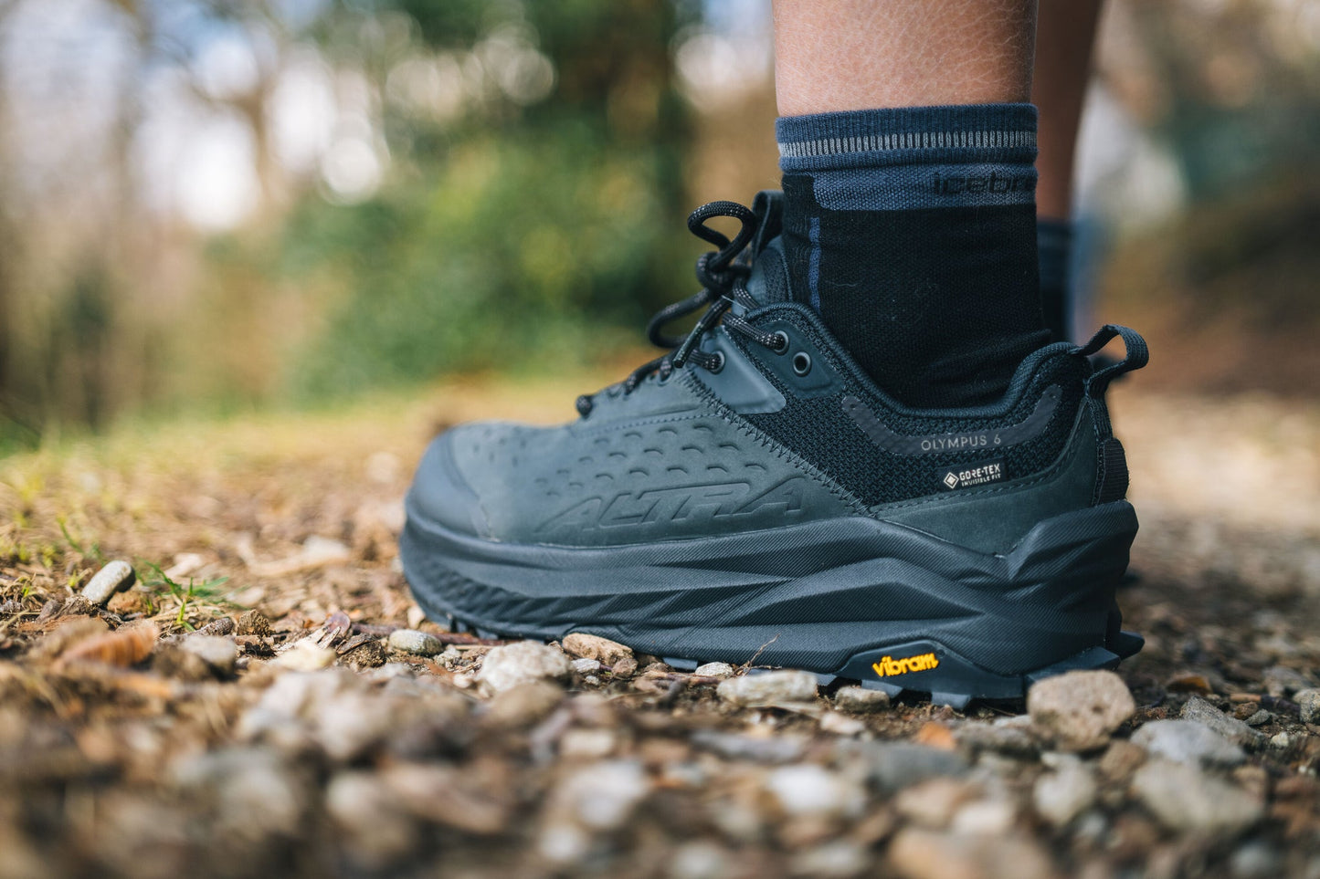 ALTRA OLYMPUS 6 HIKE LOW GTX(オリンパス 6 ハイク ロー ゴアテックス)メンズ