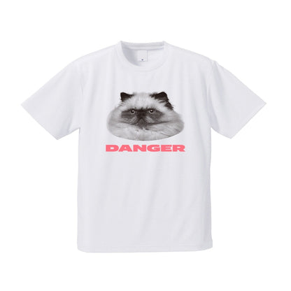 Fierce Kitty / The DANGER Trail Tee