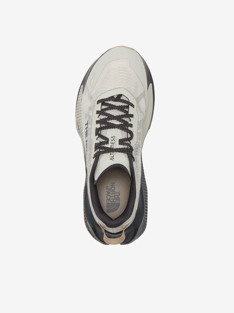 THE NORTH FACE アルタメサ 500 V2（メンズ）