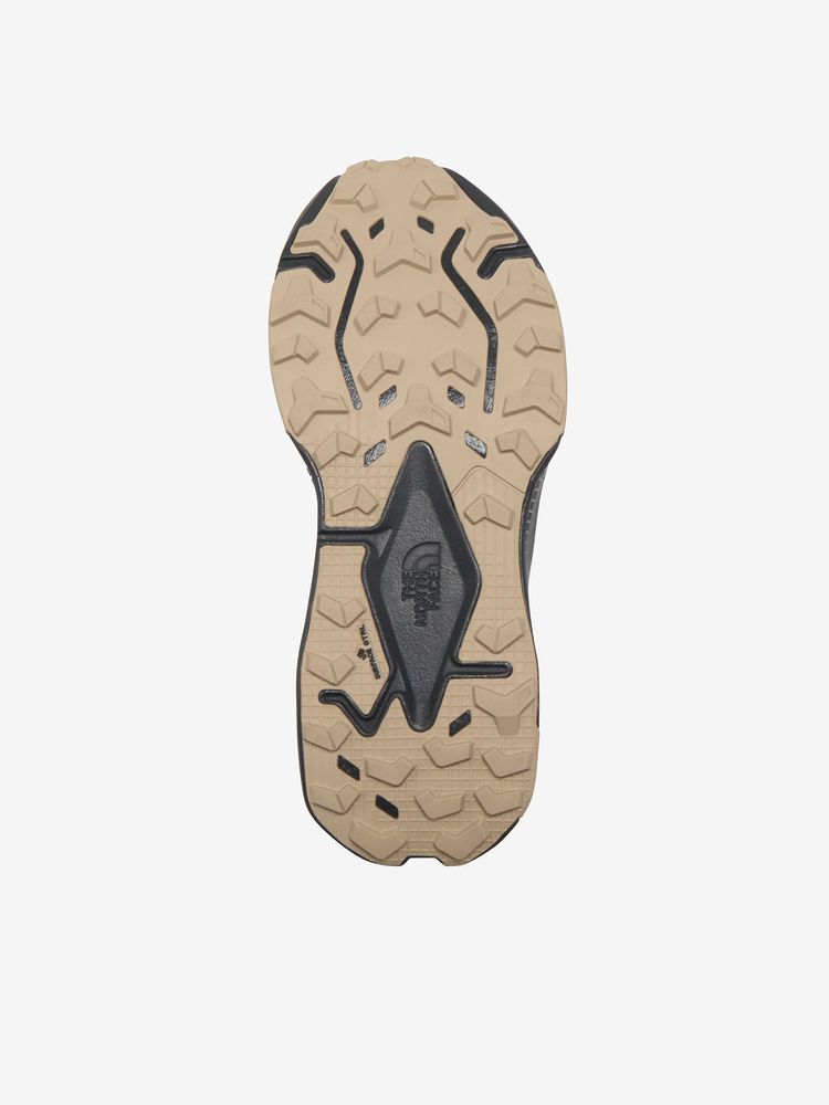 THE NORTH FACE アルタメサ 500 V2（メンズ）