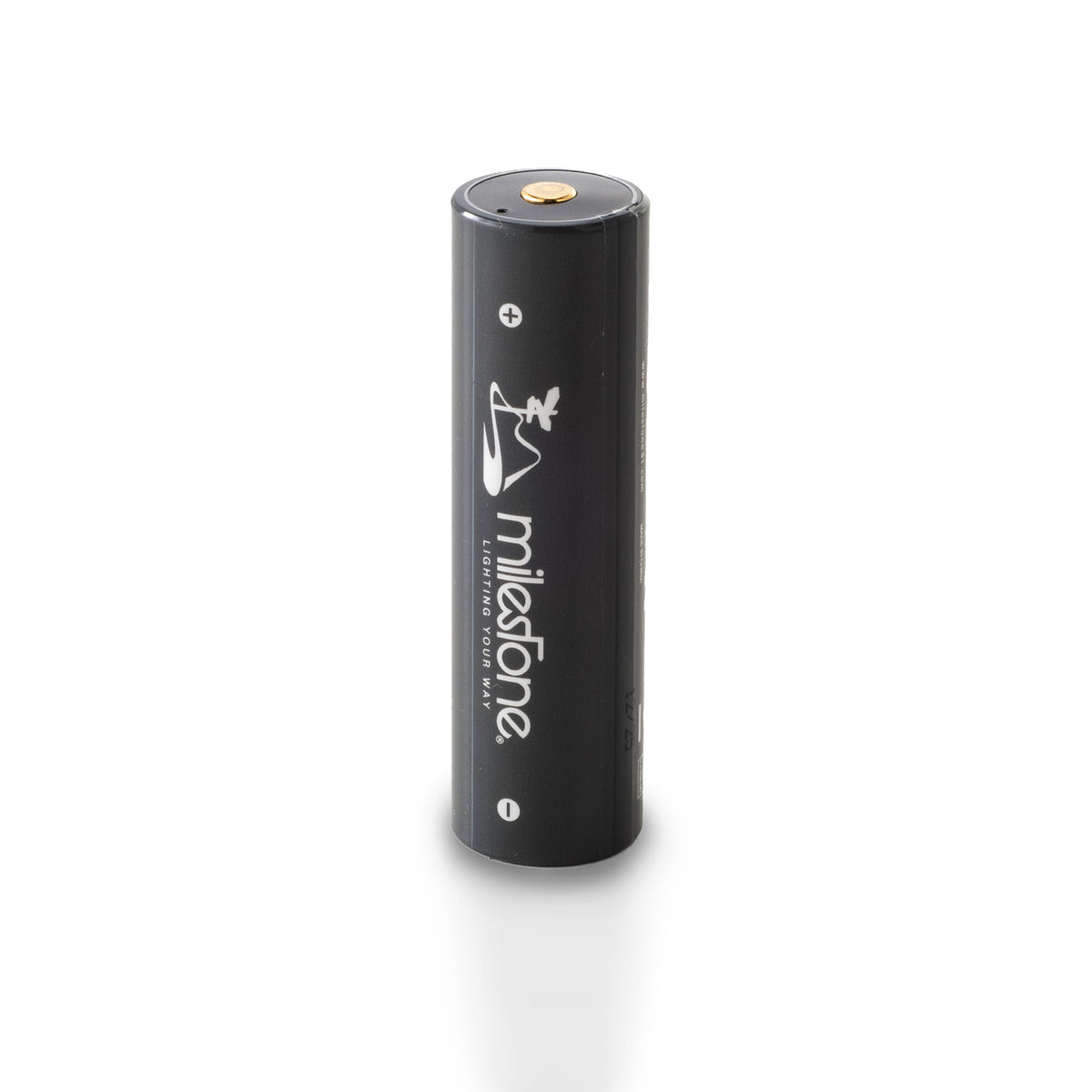 milestone MS-i2 “Endurance PRO”